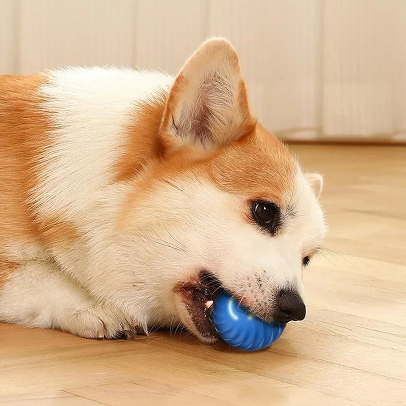 Smart Dog Toy Ball Electronic