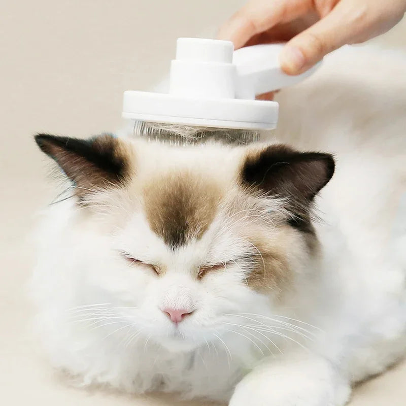 1Pc Cat Comb Hair Removal