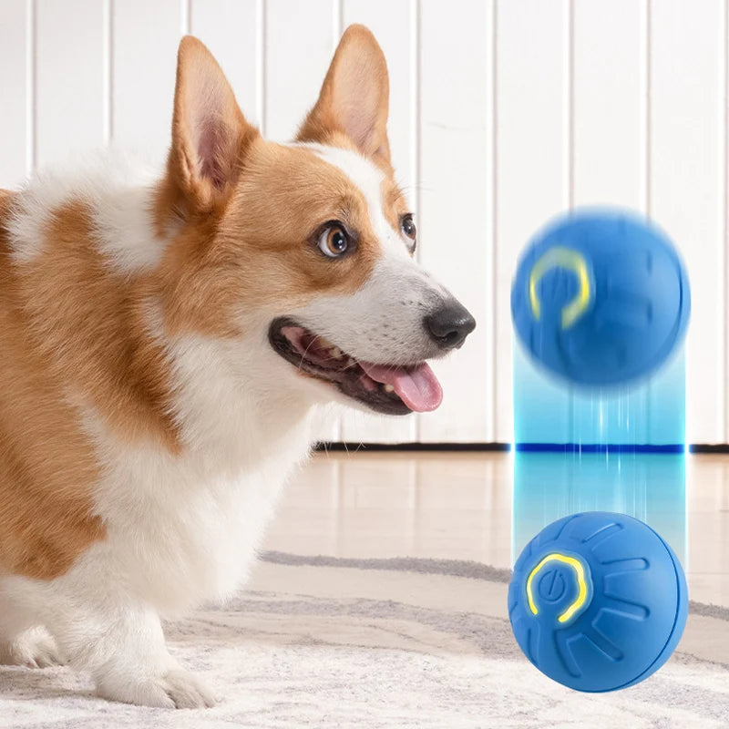 Smart Dog Toy Ball Electronic