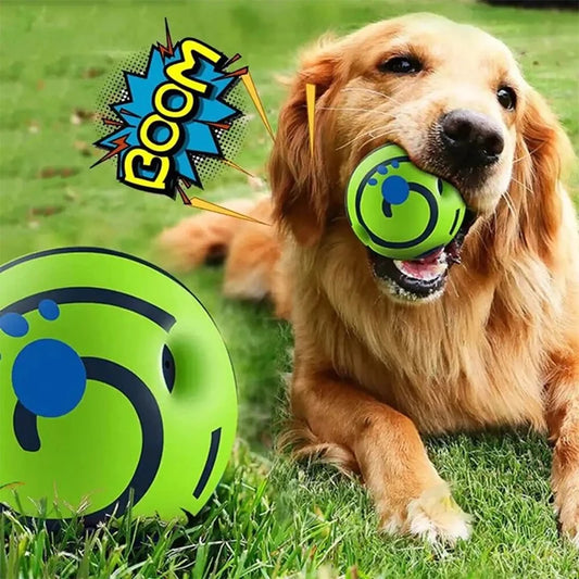 Pet Chew Ball for Cats and Dogs