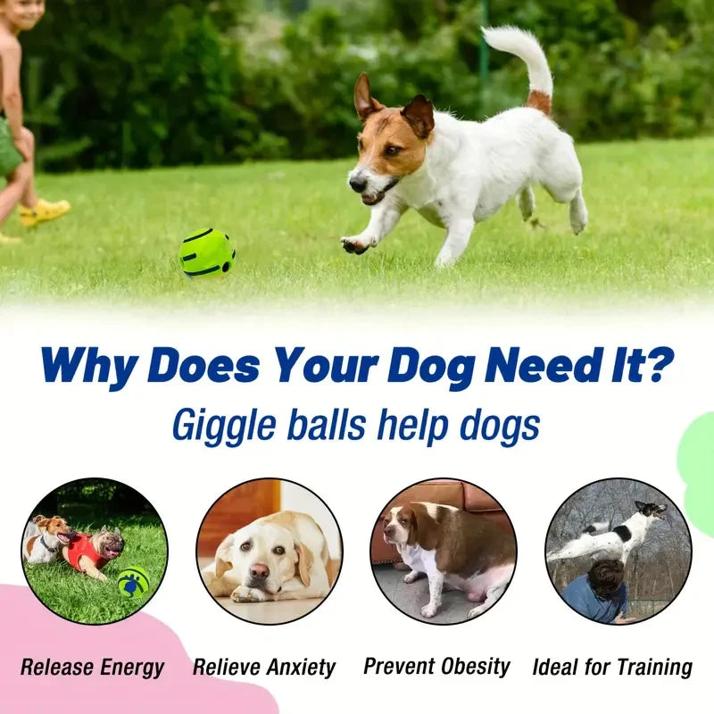 Pet Chew Ball for Cats and Dogs